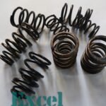Engine Valve Spring Set For Leyland dost- Dost Plus